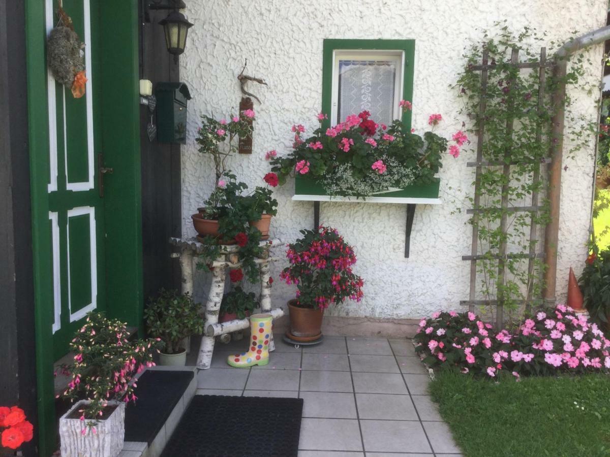 Ferienwohnung Sonnschein 巴德米滕多夫 外观 照片