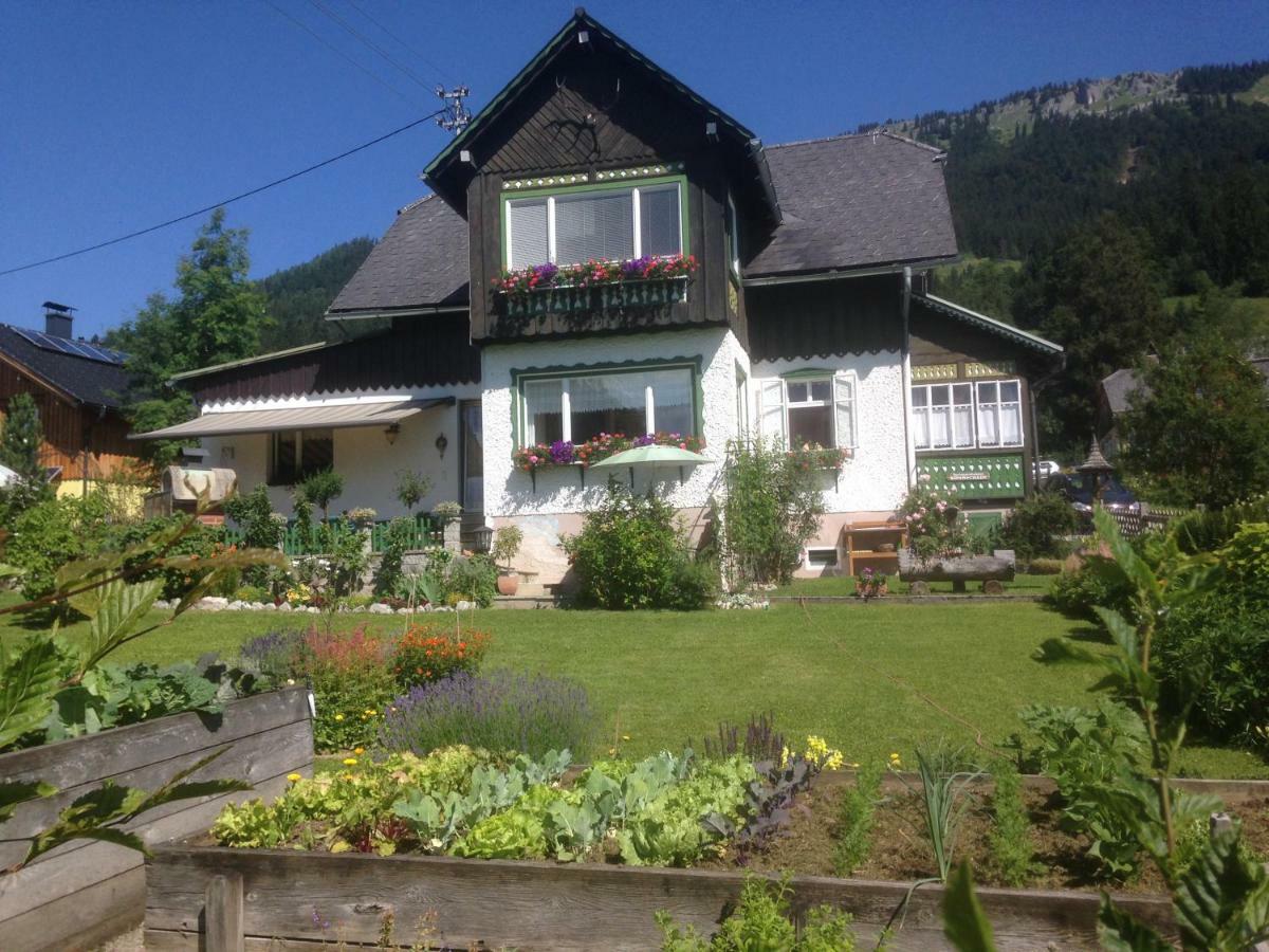 Ferienwohnung Sonnschein 巴德米滕多夫 外观 照片